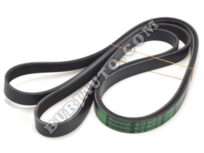 V-BELT Ford 6L2Z8620A