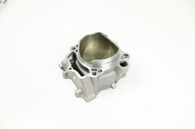 2S21131111 YAMAHA CYLINDER 1