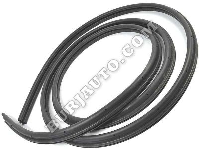 General Motors 15244250 WEATHERSTRIP FRT DOOR RH