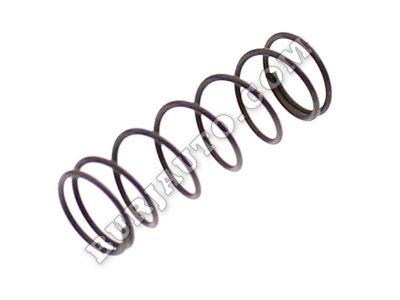 3113594900 SUZUKI SPRING