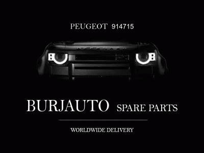 CLIP Peugeot 914715