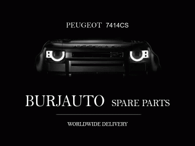 7414CS PEUGEOT GUARD GRILLE