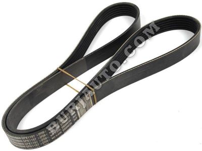 117209098R RENAULT BELT-STREAKED