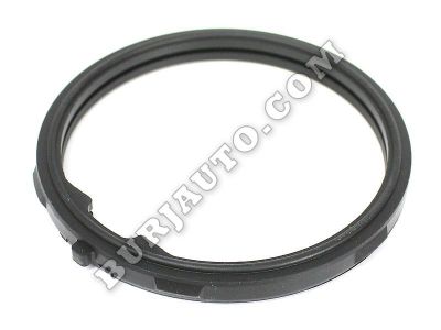 SEAL-WAT INL - CK 07% ACDelco 12587397