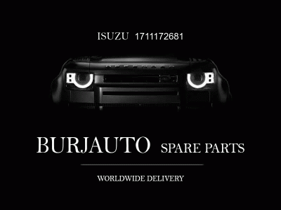 GRILLE; RAD ISUZU 1711172681