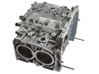 10103AC510 Subaru SHORT BLOCK ENG AY