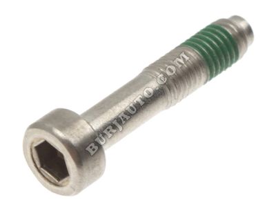 55570735 GENERAL MOTORS Bolt/screw-f/injr