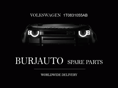 DOOR VOLKSWAGEN 1T0831055AB