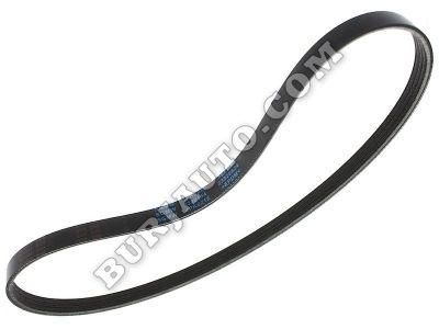 23920824 GENERAL MOTORS BELT,A C CMPR