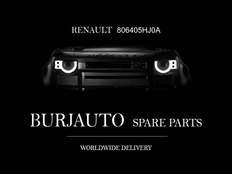 806405HJ0A RENAULT Handle