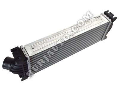 INTERCOOLER Ford 1881209