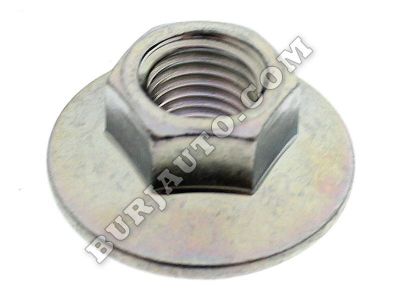 0122500521 RENAULT Nut