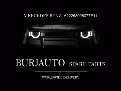 COVER, INSTRUMENT PANEL MERCEDES BENZ A22268008077P11