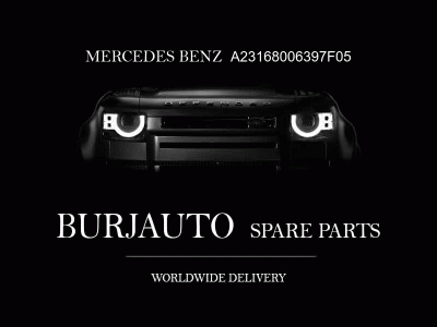 STOWAGE COMPARTMENT FLAP MERCEDES BENZ A23168006397F05