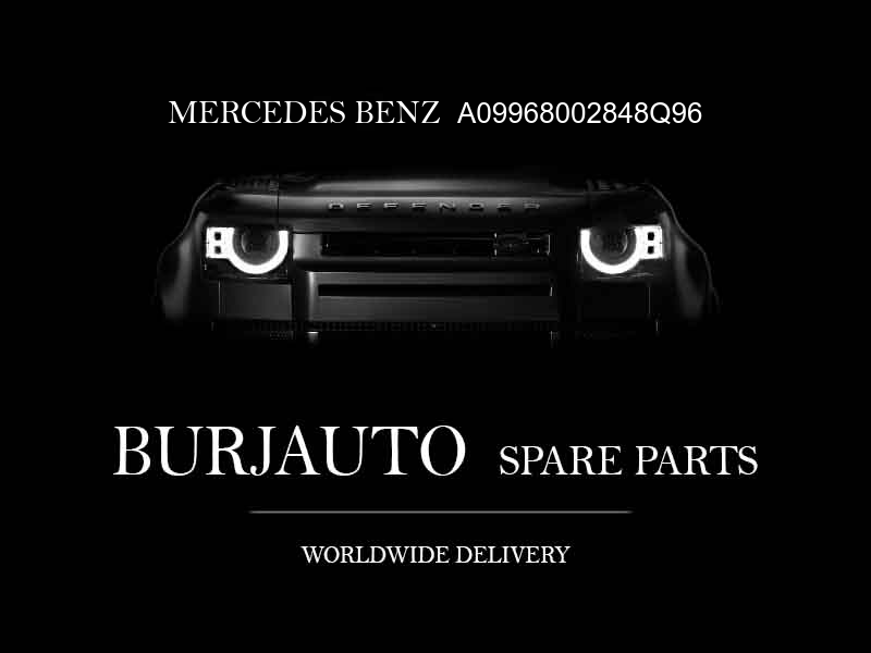 HANDLE MERCEDES BENZ A09968002848Q96