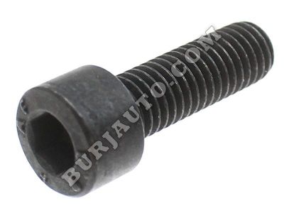 809809 SCANIA SCREW