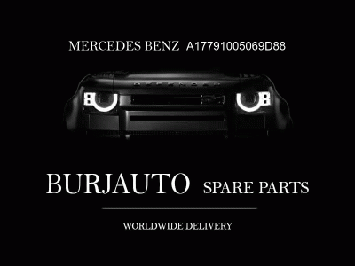 COVER, SEAT BACKREST MERCEDES BENZ A17791005069D88