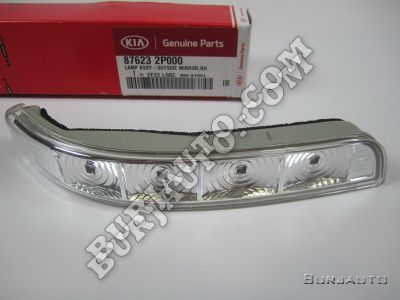 LAMP ASSY-OUTSIDE MIRROR,RH KIA 876232P000