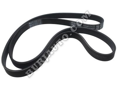 252123C321 KIA RIBBED BELT-V