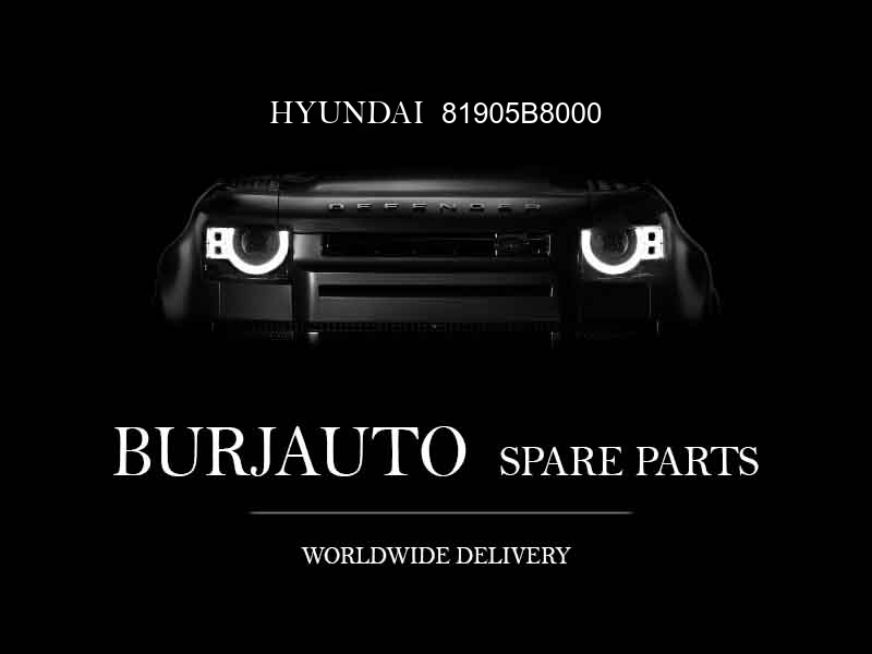 81905B8000 HYUNDAI Key and cylinder set-lock