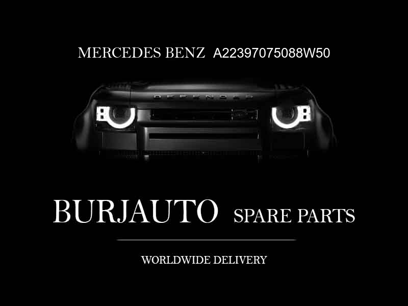 A22397075088W50 MERCEDES BENZ Foldable armrest