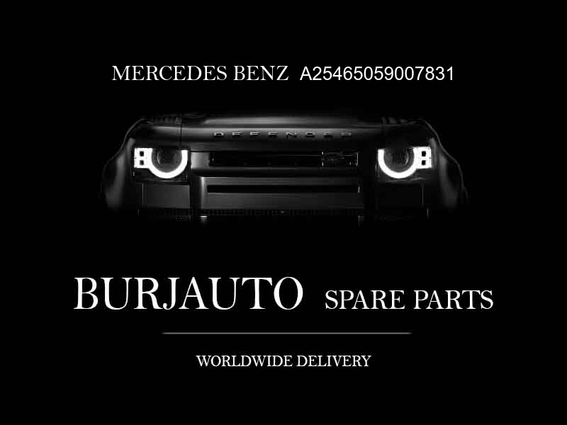 A25465059007831 MERCEDES BENZ PANELING, ROOF