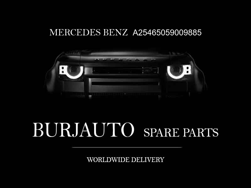 A25465059009885 MERCEDES BENZ PANELING, ROOF