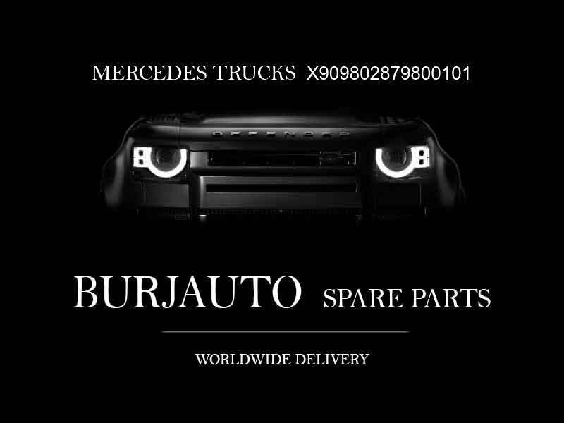 X909802879800101 MERCEDES TRUCKS Engine