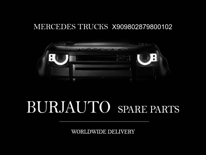 X909802879800102 MERCEDES TRUCKS Engine