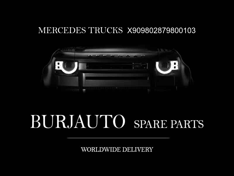 X909802879800103 MERCEDES TRUCKS Engine