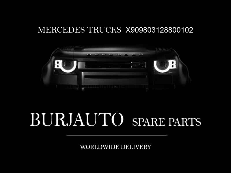 X909803128800102 MERCEDES TRUCKS Industrial engine