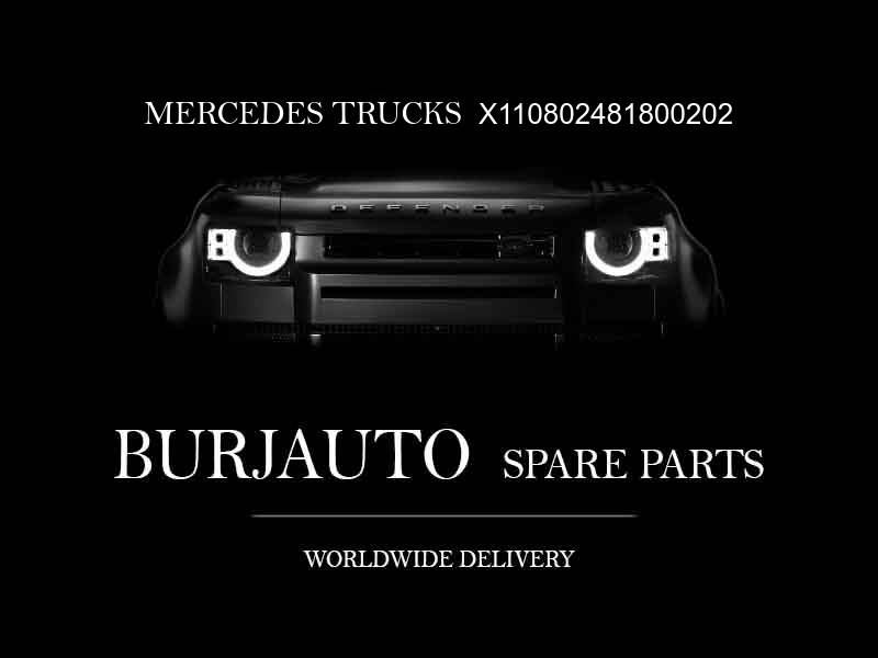 X110802481800202 MERCEDES TRUCKS Engine