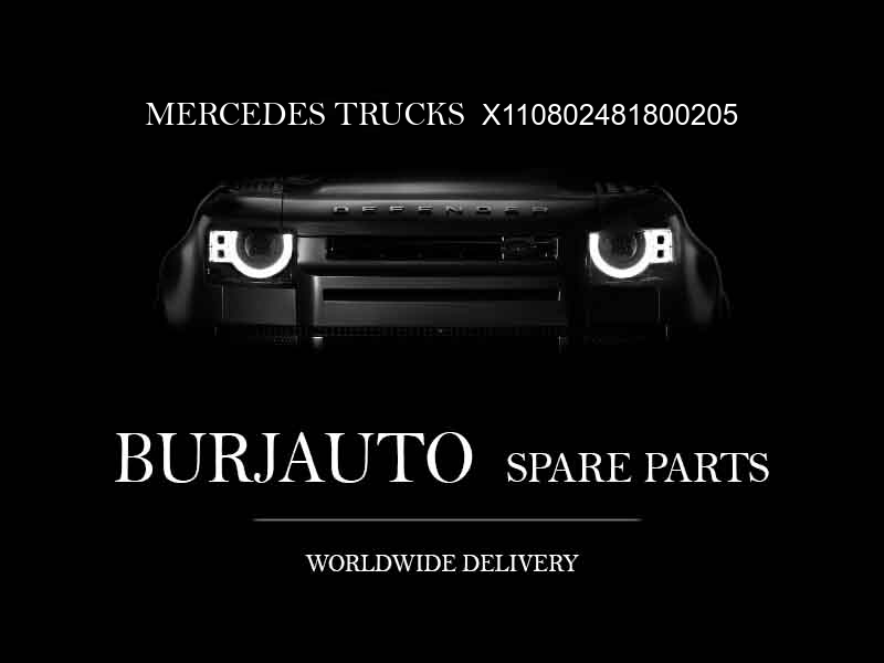 X110802481800205 MERCEDES TRUCKS Engine