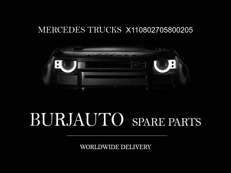 X110802705800205 MERCEDES TRUCKS Engine