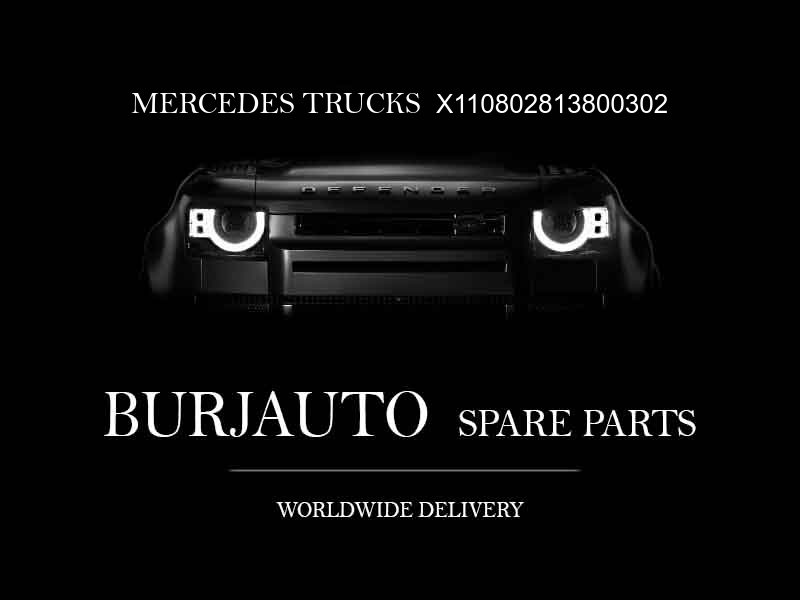 X110802813800302 MERCEDES TRUCKS Engine