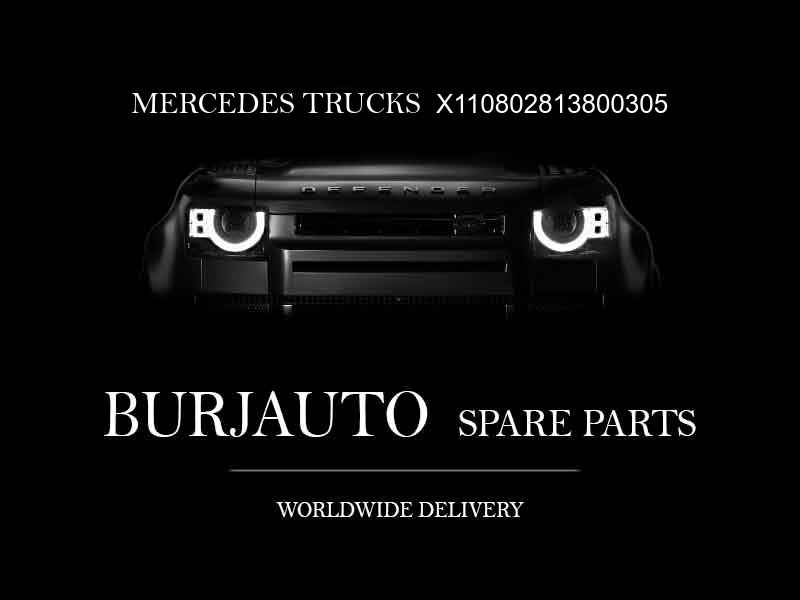 X110802813800305 MERCEDES TRUCKS Engine