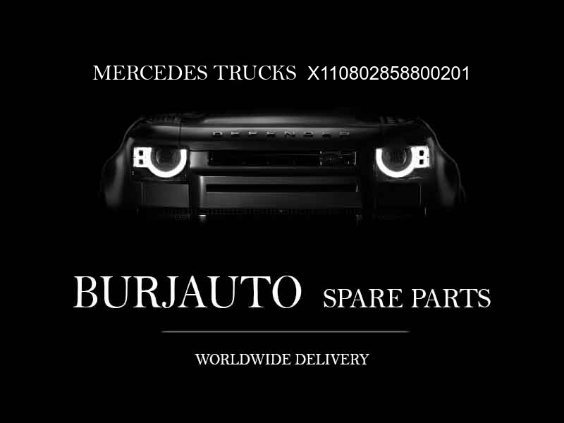 X110802858800201 MERCEDES TRUCKS Engine