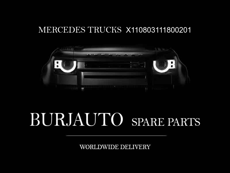 X110803111800201 MERCEDES TRUCKS Engine