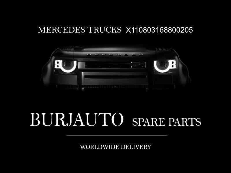 X110803168800205 MERCEDES TRUCKS Engine