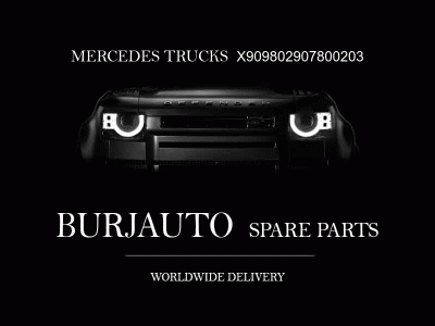 ENGINE Mercedes Trucks X909802907800203