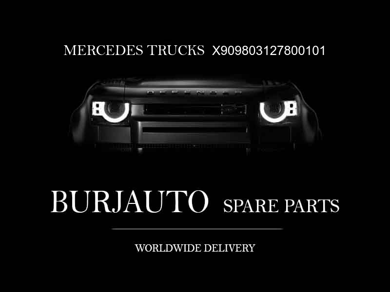 X909803127800101 MERCEDES TRUCKS Engine