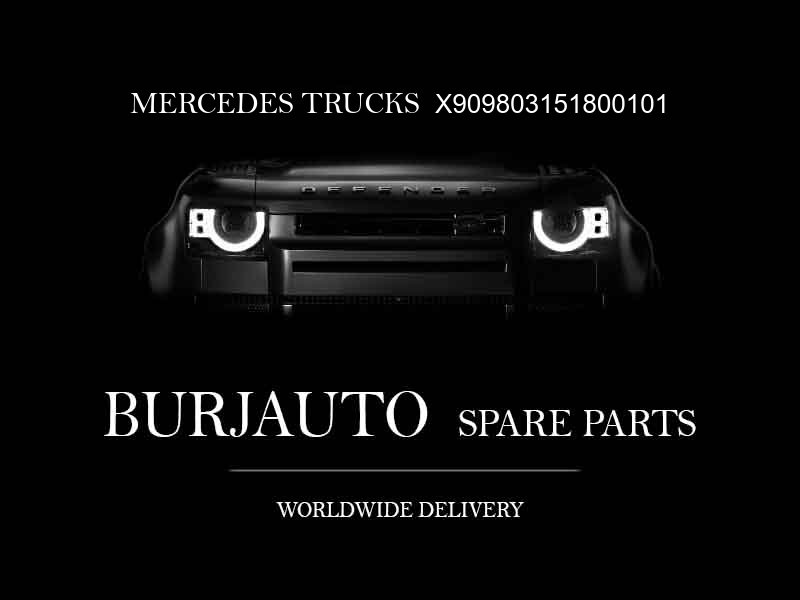 X909803151800101 MERCEDES TRUCKS Industrial engine