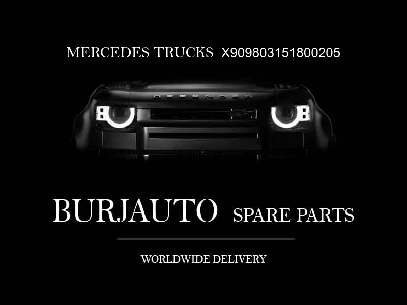 X909803151800205 MERCEDES TRUCKS Industrial engine