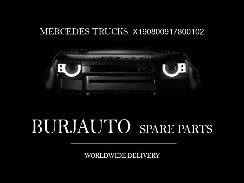 X190800917800102 MERCEDES TRUCKS Engine