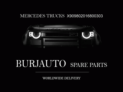 ENGINE Mercedes Trucks X909802016800303