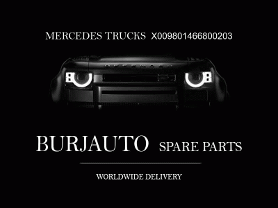 ENGINE Mercedes Trucks X009801466800203