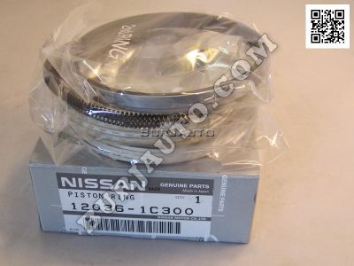 RING SET PISTON NISSAN 120361C300