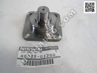 CAP KNUCKLE  99 NISSAN 4002201J00