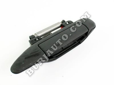 806079F100 NISSAN HANDLE