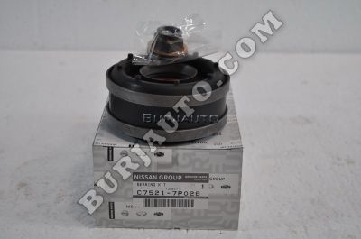 C75217P026 NISSAN BEARING KIT